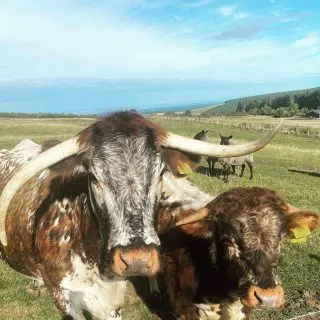 Getting friendlier! 🥰