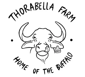 Thorabella Buffalo Farm Moray Scotland
