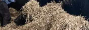 Straw Bale Farm House