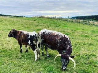 Never let husband go shopping with out me 🫣
