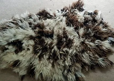 Sheepskin